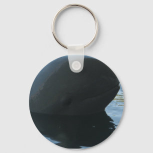 Porte-clés Irrawaddy Dolphin Peek-A-Boo