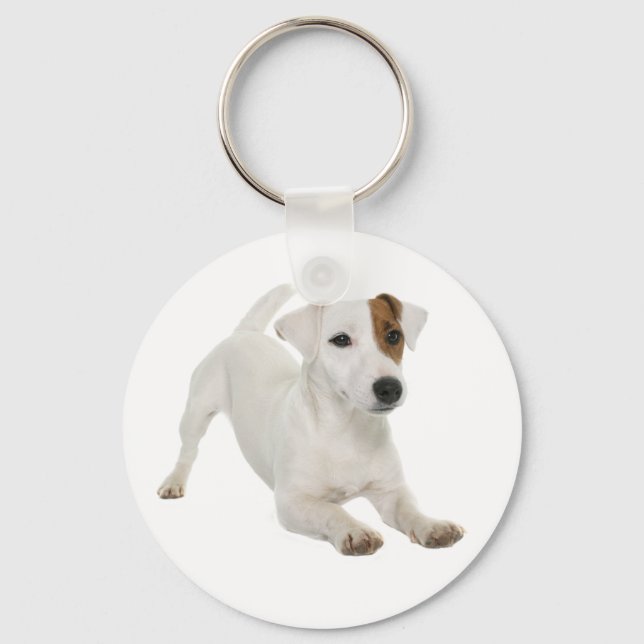 Porte-clés Jack Russell Terrier Chien blanc et Brown (Recto)