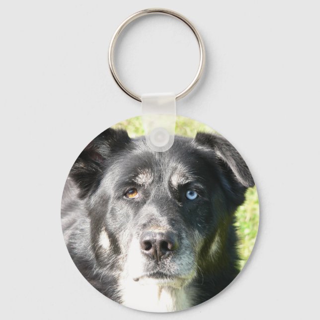 Porte-clés J'aime mon Porte - clé de chien (Recto)