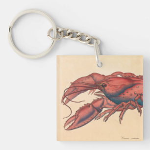 Porte-clés James Sowerby Homard dentelé