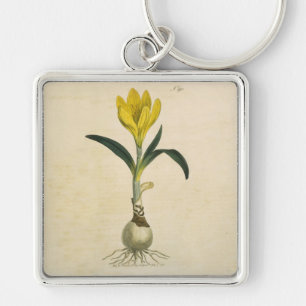 Porte-clés Jardin botanique de tulipe Amaryllis Fleur