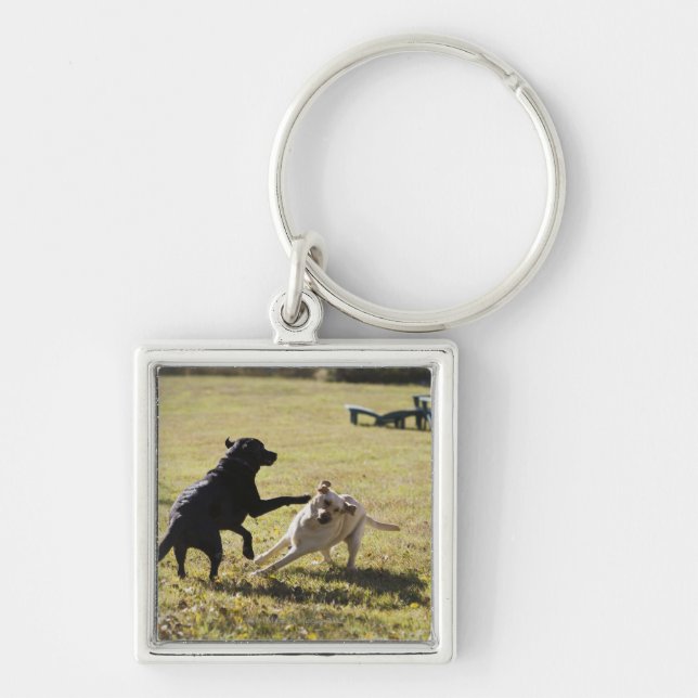 Porte-clés Jeu de chiens (Devant)
