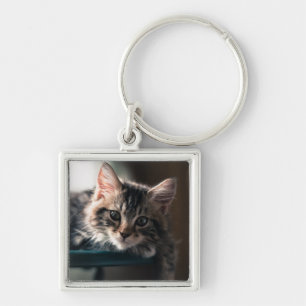 Porte-clés Jeune chat tigré masculin 2