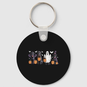 Porte-clés Joli chien Labrador noir Halloween citrouille Labr