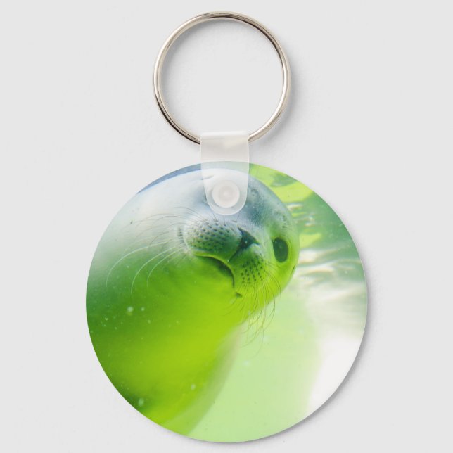 Porte-clés Joli Phoque Amical Sous L'Eau (Recto)