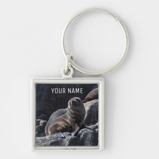 Porte-clés Joli phoque bébé sur les rochers Tasmanie Australi (Devant)