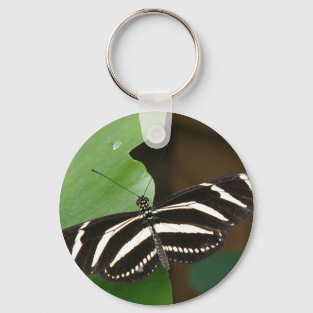 Porte-clés Joli Zebra Longwing Papillon Porte - clé (Recto)