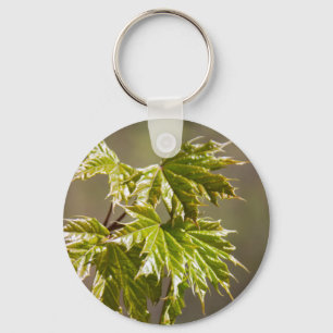 Porte-clés Jolie branche d'érable vert avec petit porte - clé