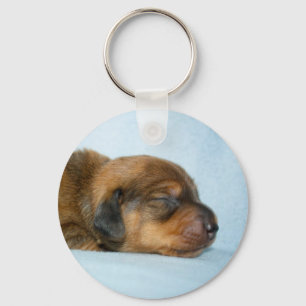 Porte-clés Jovi 1 wk-Lovebugdoxies