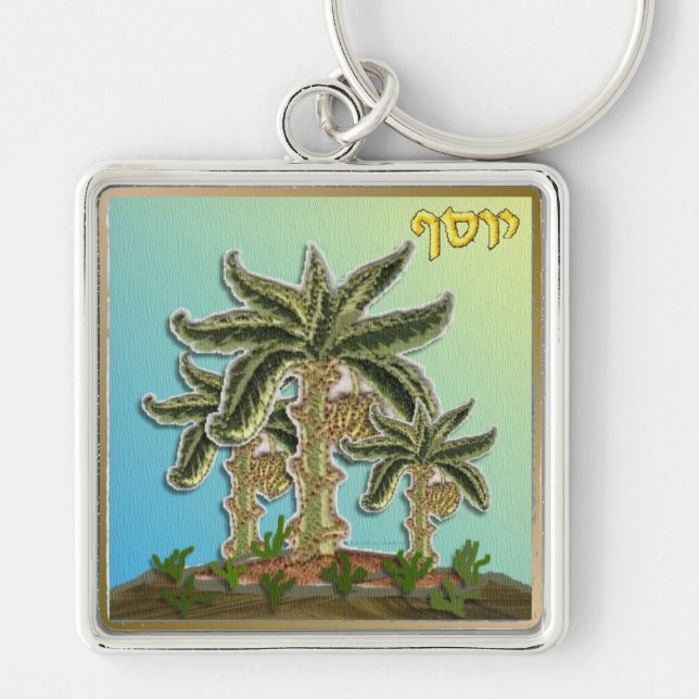 Porte-clés Judaïque 12 Tribus Israël Joseph (Devant)