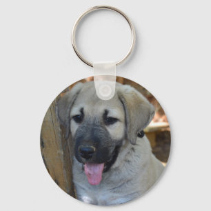Porte-clés Kangal - Anatolian Sheep Dog