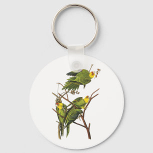 Porte-clés Keychain: Parakeet - by John Audubon