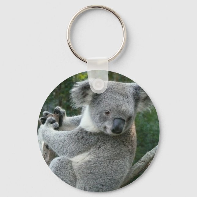 Porte-clés Koala (Recto)