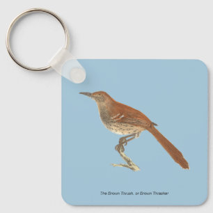 Porte-clés La Grive Brown ou le Trasher Brown, New York Birds