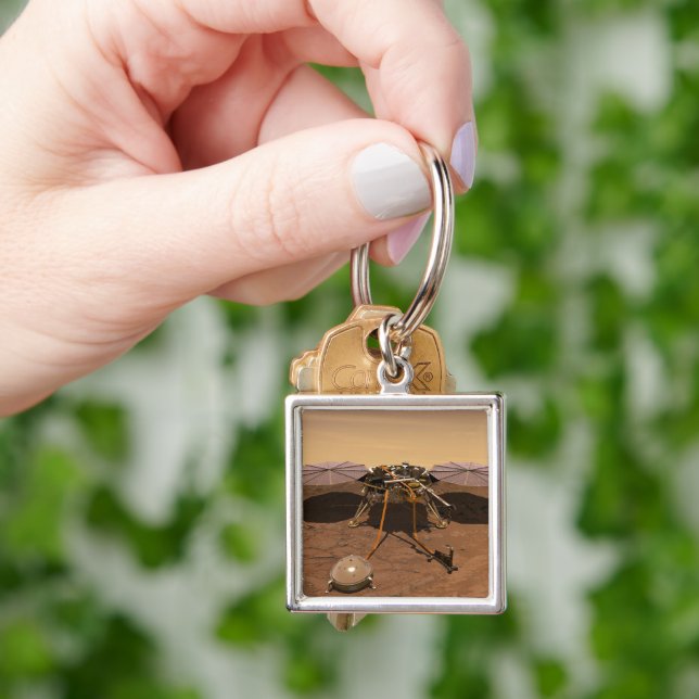 Porte-clés La Landre D'Insight Fonctionnant Sur La Surface De (main)