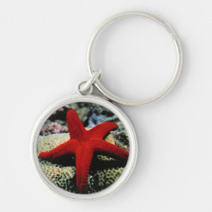 Porte-clés La Mer Rouge des poissons d'étoile