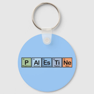Porte-clés La Palestine a fait des éléments