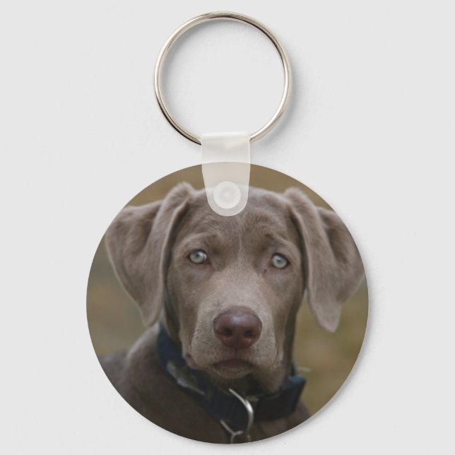 Porte-clés Labrador Retriever En Argent Clair Rare (Recto)