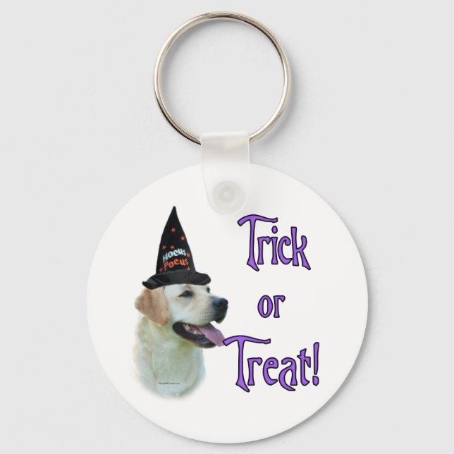 Porte-clés Labrador Retriever (jaune)Trick (Recto)