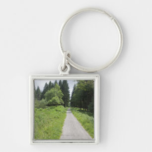 Porte-clés L'Allemagne, Thuringe, chemin dans la forêt