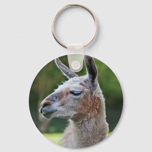 Porte-clés lama (Recto)