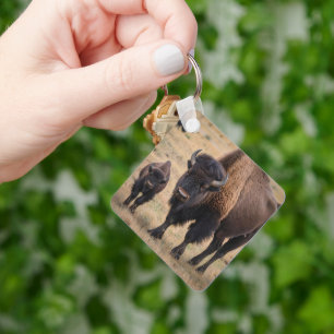 Porte-clés "L'amour sauvage : le bison et son veau"