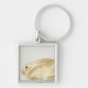 Porte-clés Lapin beige sur l'arrière - plan blanc 4