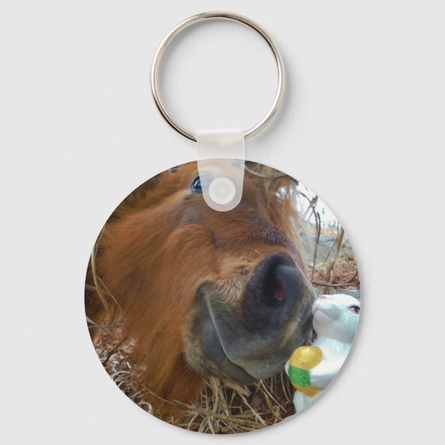 Porte-clés Lapin de Pâques et cheval Brown (Recto)