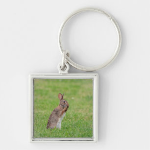 Porte-clés Lapin debout dans l'herbe et l'air timide