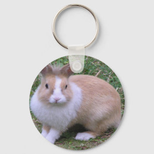Porte-clés lapin doux