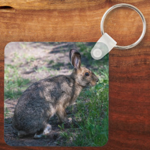 Porte-clés Lapin sauvage, portrait de nature silencieuse