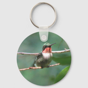 Porte-clés Le colibri Rubis-throated flotte porte - clé