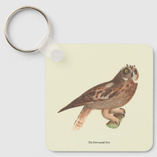 Porte-clés Le hibou à oreilles courtes (Otus palustris) New Y