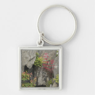 Porte-clés Le jardin de la famille Bao, Huangshan, Chine.