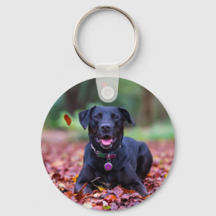 Porte-clés Le Labrador Noir Dans Les Feuilles D'Automne