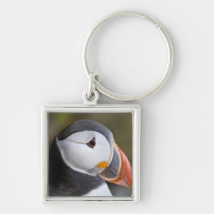 Porte-clés Le Macareux atlantique, un oiseau de mer pélagique