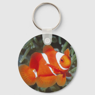 Porte-clés le monde de nemo
