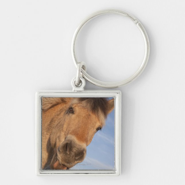 Porte-clés Le Northumberland, Angleterre 2 (Devant)