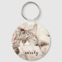 le plus adorable petit chat