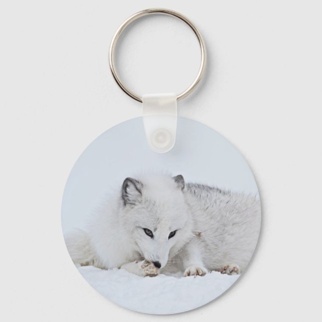 Porte-clés Le renard arctique dans la neige (Recto)