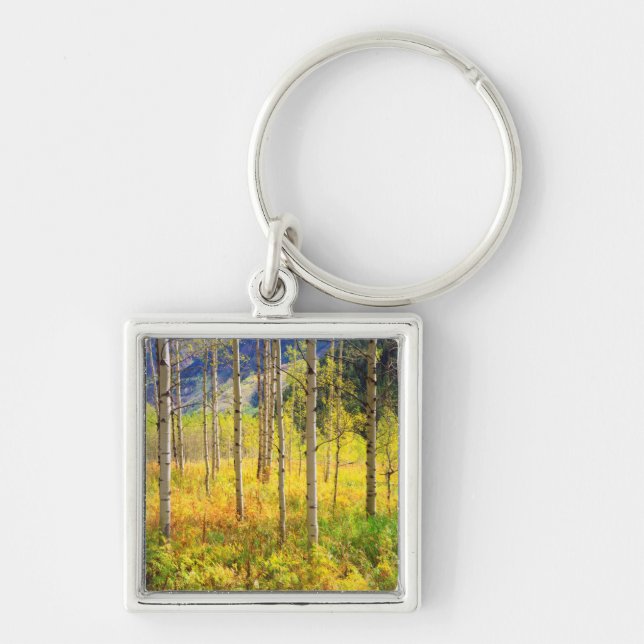 Porte-clés Les arbres d'Aspen à l'automne dans les Rocheuses (Devant)