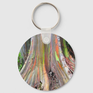 Porte-clés Les produits d'arbre d'eucalyptus d'arc-en-ciel