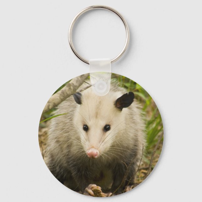 Porte-clés Les sommes d'argent sont jolies - Opossum Didelphi (Recto)