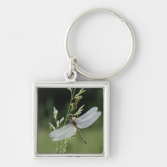 Porte-clés Libellule Darner couverte de rosée (Devant)