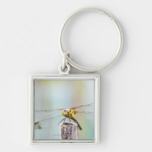 Porte-clés Libellule (infuscatum de Sympetrum) 2