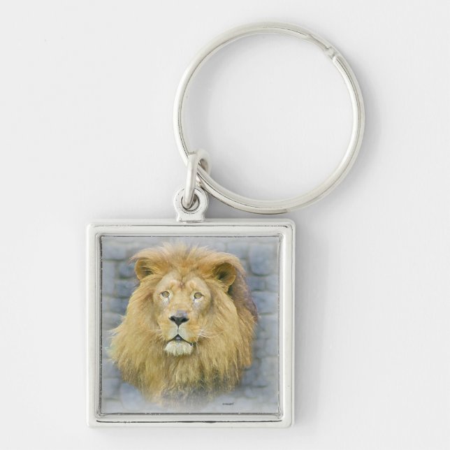 Porte-clés lion (Devant)