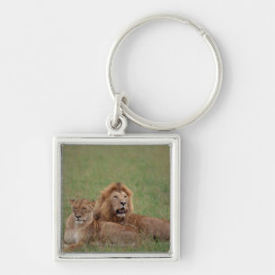 Porte-clés Lion 2