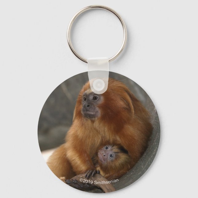 Porte-clés Lion d'or Tamarin avec bébé 2 (Recto)