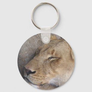 Porte-clés Lion endormie