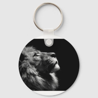 Porte-clés Lion porte - clé